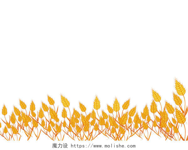 橙色手绘卡通小麦稻穗丰收秋天秋季元素PNG素材